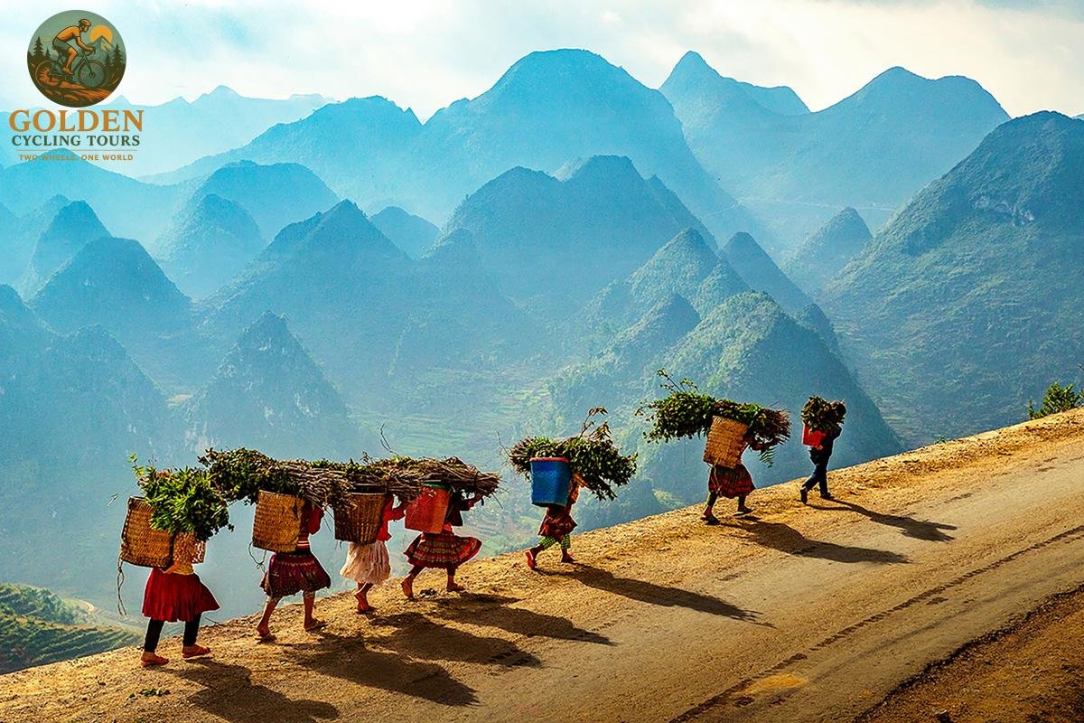 1787158281_top-tier-road-rental-packages-in-northern-vietnam-[carbon-frames-shimano].jpg
